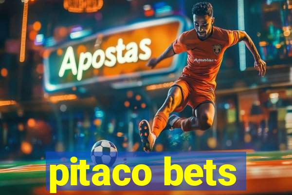 pitaco bets